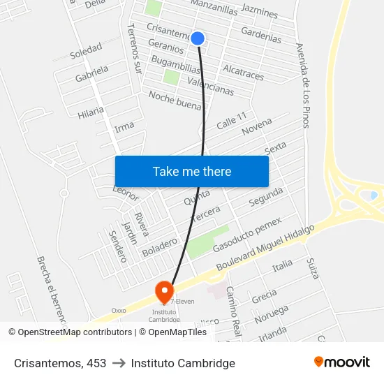 Crisantemos, 453 to Instituto Cambridge map