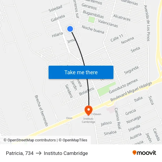 Patricia, 734 to Instituto Cambridge map