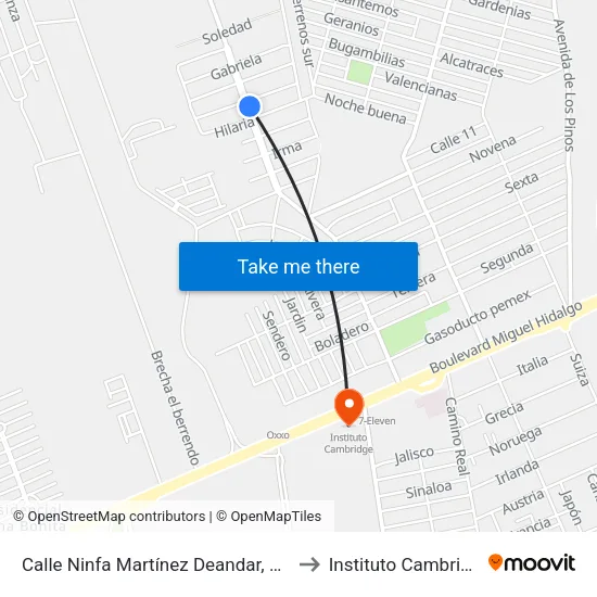 Calle Ninfa Martínez Deandar, 602a to Instituto Cambridge map