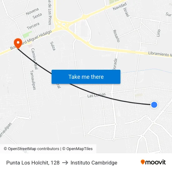 Punta Los Holchit, 128 to Instituto Cambridge map
