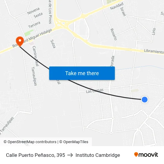 Calle Puerto Peñasco, 395 to Instituto Cambridge map