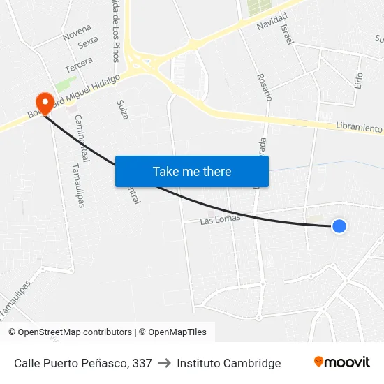 Calle Puerto Peñasco, 337 to Instituto Cambridge map