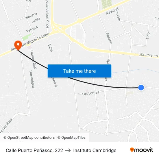 Calle Puerto Peñasco, 222 to Instituto Cambridge map