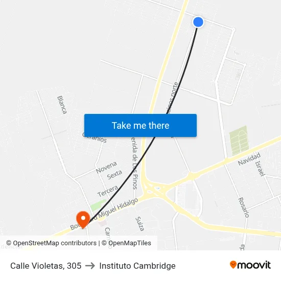 Calle Violetas, 305 to Instituto Cambridge map