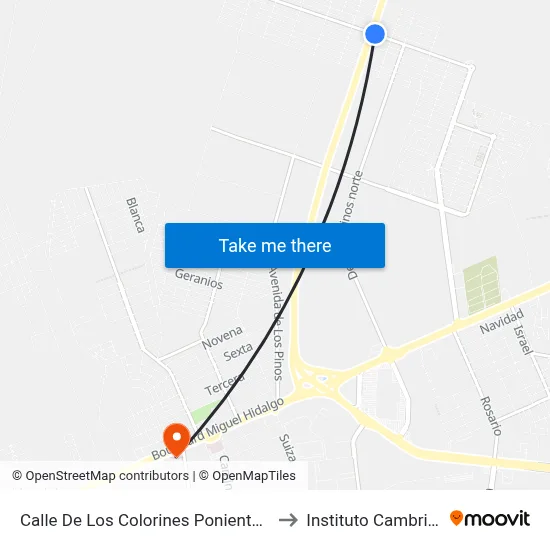 Calle De Los Colorines Poniente, 141 to Instituto Cambridge map
