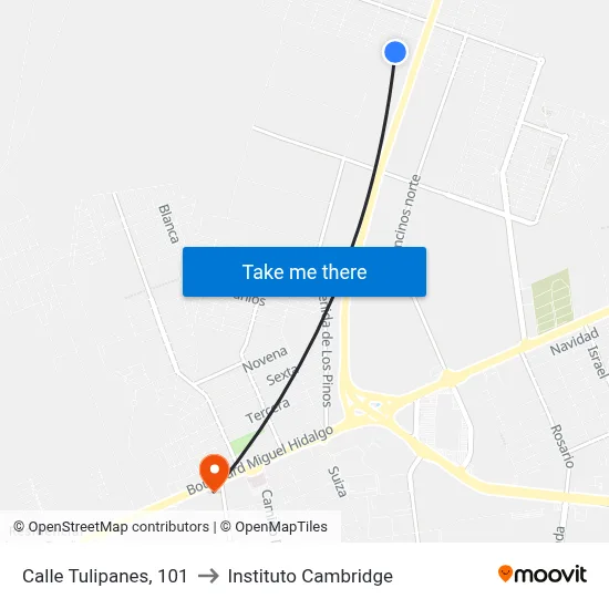 Calle Tulipanes, 101 to Instituto Cambridge map
