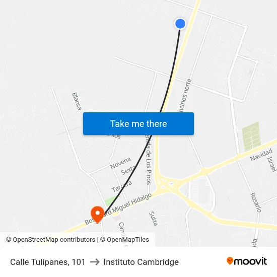 Calle Tulipanes, 101 to Instituto Cambridge map