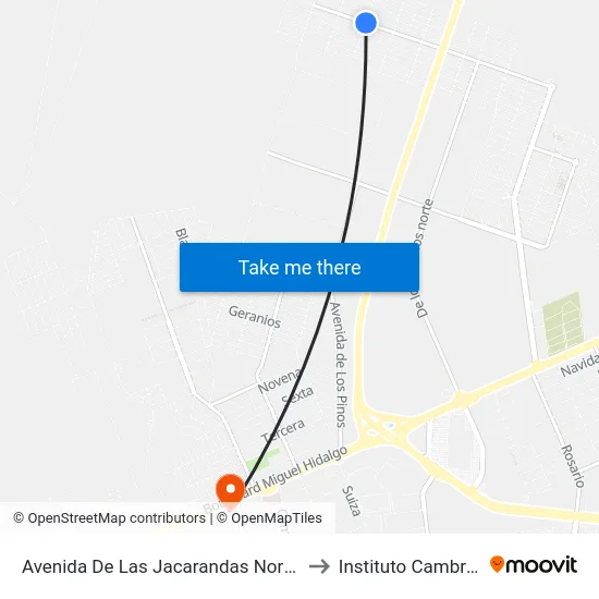 Avenida De Las Jacarandas Norte, 307 to Instituto Cambridge map
