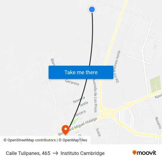 Calle Tulipanes, 465 to Instituto Cambridge map