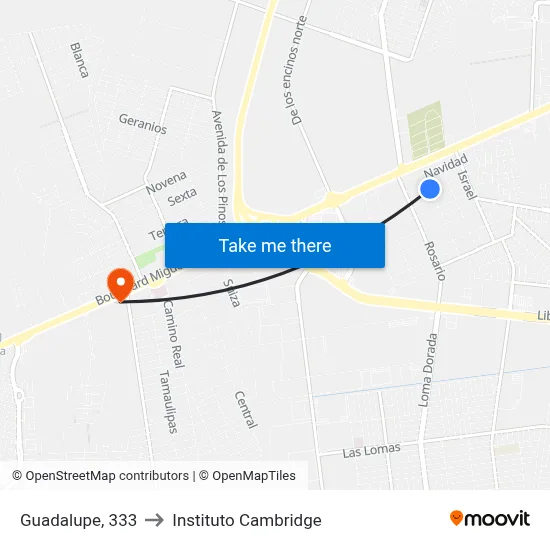 Guadalupe, 333 to Instituto Cambridge map