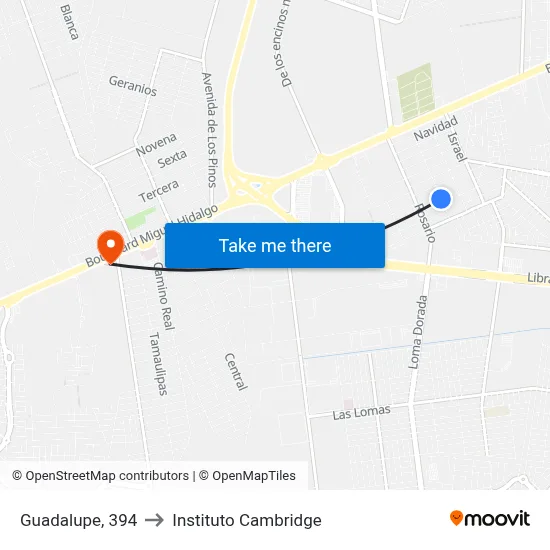 Guadalupe, 394 to Instituto Cambridge map