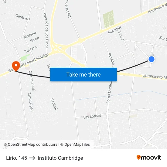Lirio, 145 to Instituto Cambridge map
