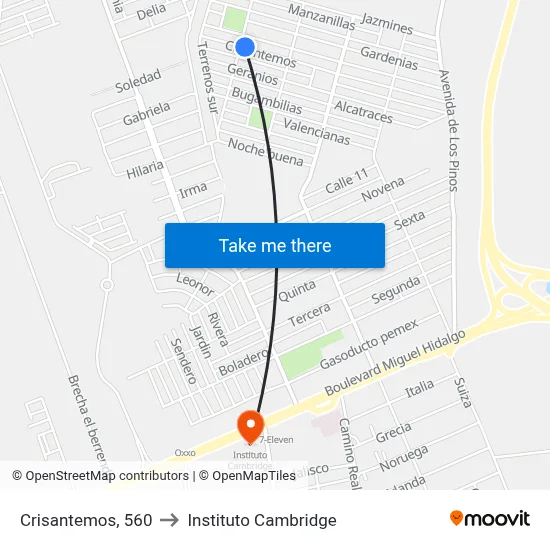 Crisantemos, 560 to Instituto Cambridge map