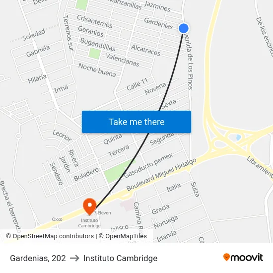 Gardenias, 202 to Instituto Cambridge map