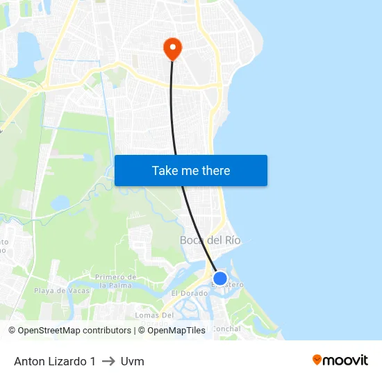 Anton Lizardo 1 to Uvm map