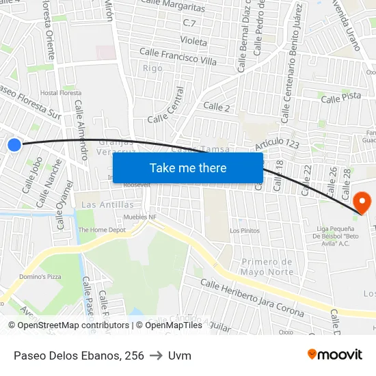 Paseo Delos Ebanos, 256 to Uvm map