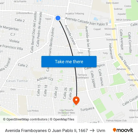 Avenida Framboyanes O Juan Pablo Ii, 1667 to Uvm map
