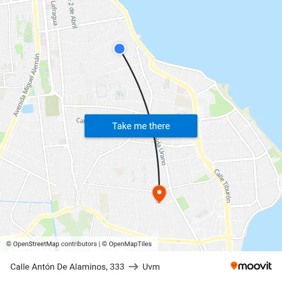 Calle Antón De Alaminos, 333 to Uvm map