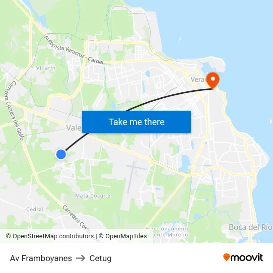Av Framboyanes to Cetug map
