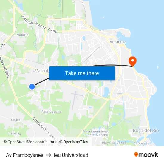 Av Framboyanes to Ieu Universidad map