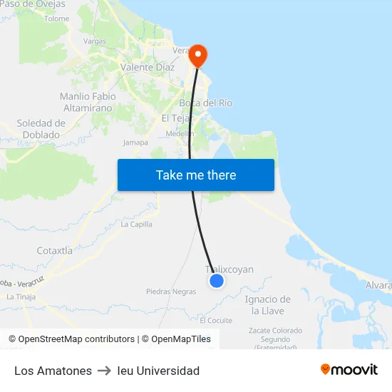 Los Amatones to Ieu Universidad map