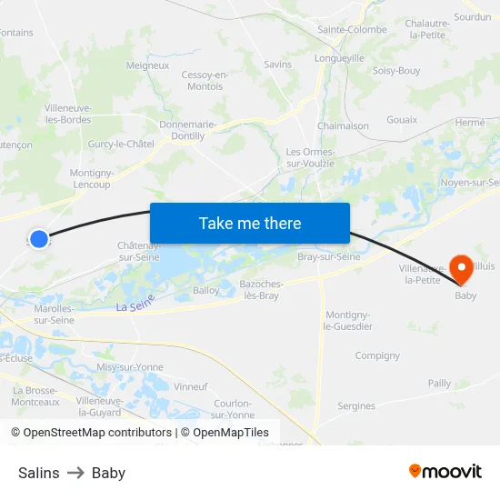 Salins to Baby map