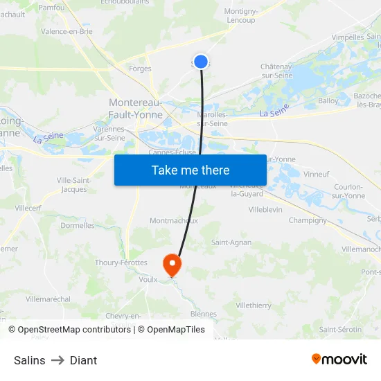 Salins to Diant map