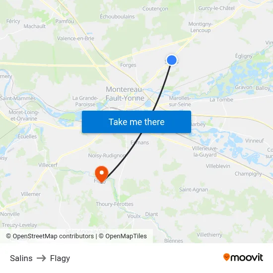 Salins to Flagy map