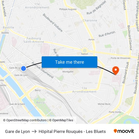 Gare de Lyon to Hôpital Pierre Rouquès - Les Bluets map