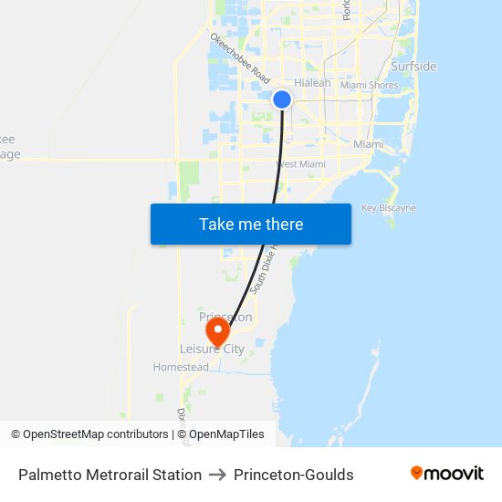 Palmetto Metrorail Station to Princeton-Goulds map