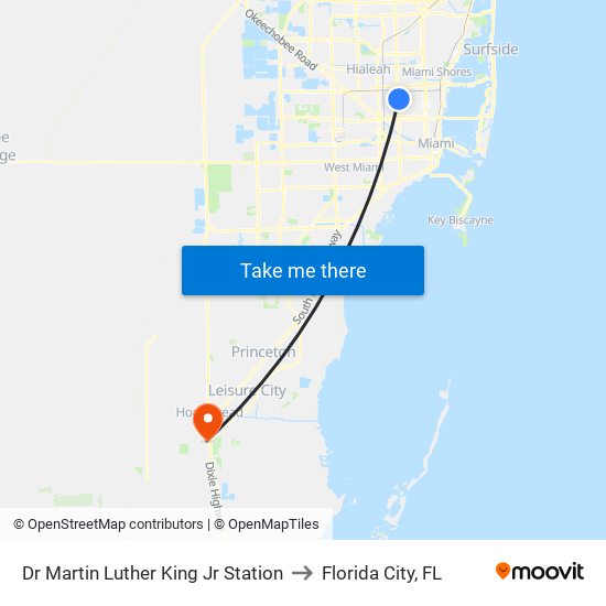 Dr Martin Luther King Jr Station to Florida City, FL map