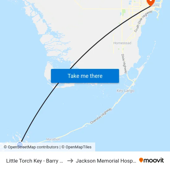Little Torch Key - Barry Ave to Jackson Memorial Hospital map