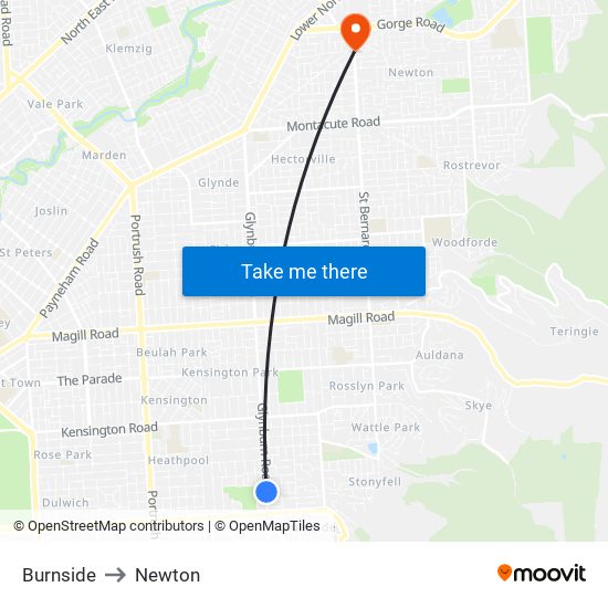 Burnside to Newton map