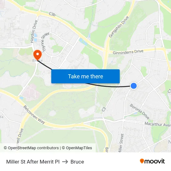 Miller St After Merrit Pl to Bruce map