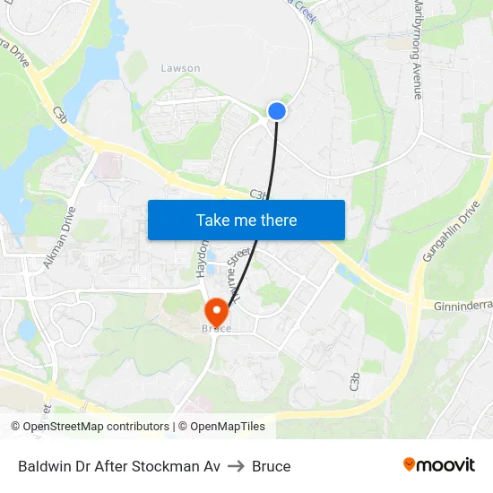 Baldwin Dr After Stockman Av to Bruce map