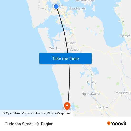 Gudgeon Street to Raglan map