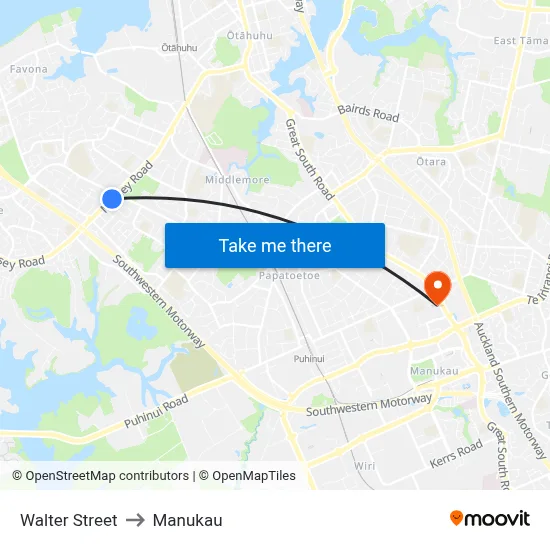 Walter Street to Manukau map