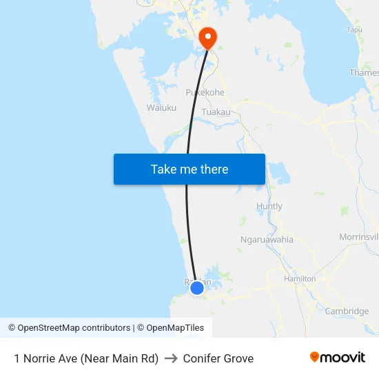 1 Norrie Ave, Raglan (Near Main Rd) to Conifer Grove map