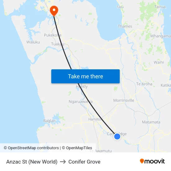 Anzac St, Cambridge (New World) to Conifer Grove map