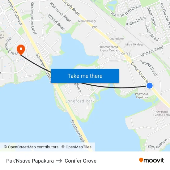 Pak'Nsave Papakura to Conifer Grove map