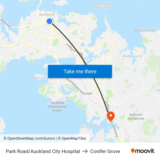 Park Road/Auckland City Hospital to Conifer Grove map