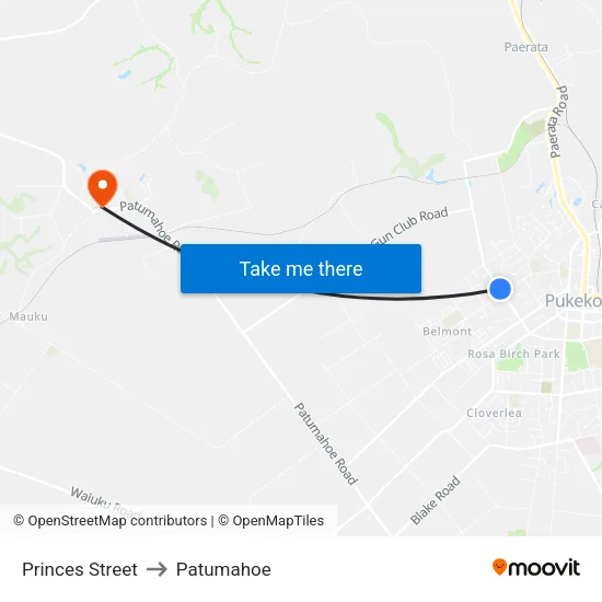 Princes Street to Patumahoe map