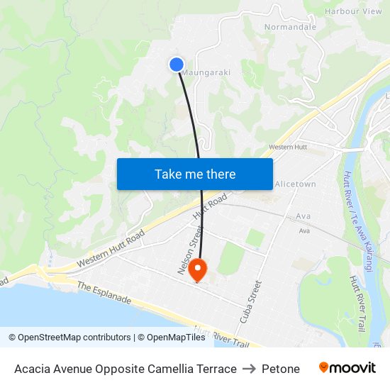 Acacia Avenue Opposite Camellia Terrace to Petone map