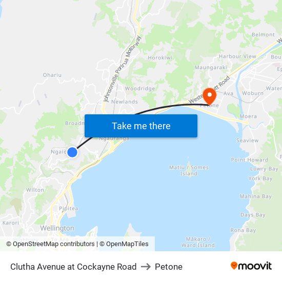 Clutha Avenue at Cockayne Road to Petone map