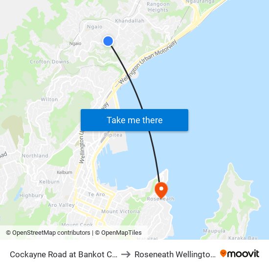 Cockayne Road at Bankot Crescent (Near 155) to Roseneath Wellington New Zealand map