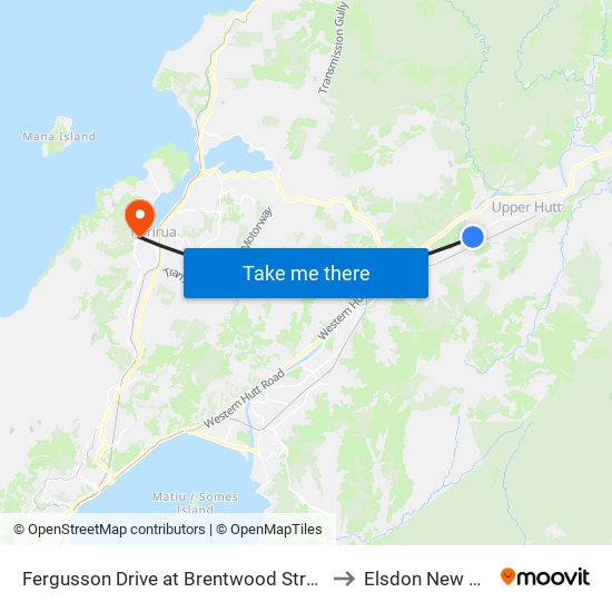 Fergusson Drive at Brentwood Street (Near 478) to Elsdon New Zealand map