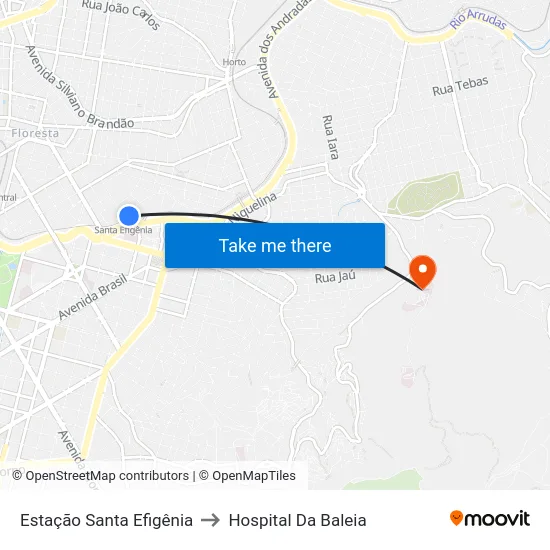 Estação Santa Efigênia to Hospital Da Baleia map