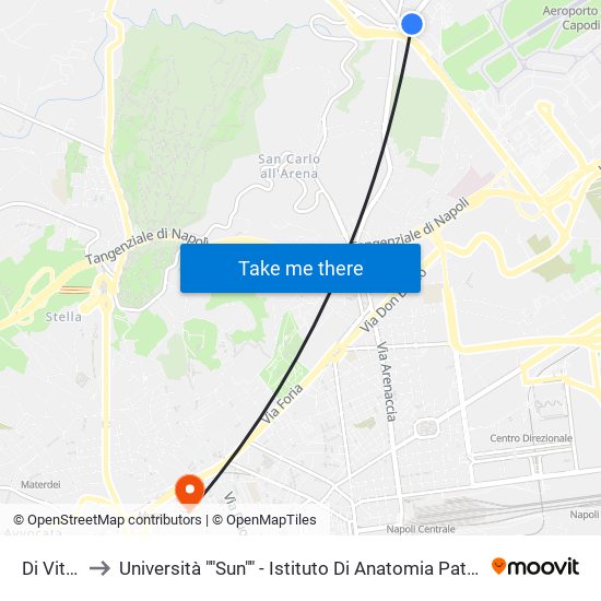 Di Vittorio to Università ""Sun"" - Istituto Di Anatomia Patologica ""L.Armanni"" map