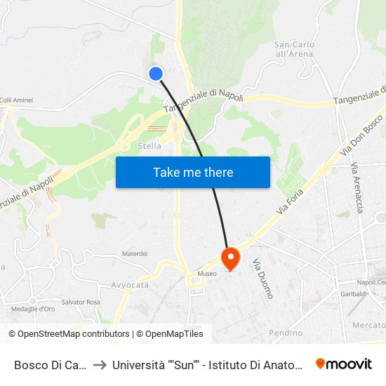 Bosco Di Capodimonte to Università ""Sun"" - Istituto Di Anatomia Patologica ""L.Armanni"" map