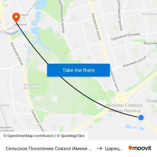 Сельское Поселение Совхоз Имени Ленина to Царицыно map
